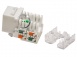 Розеточный модуль NTSS PREMIUM Keystone UTP 1xRJ45 CAT5e белый. превью 1