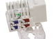 Розеточный модуль NTSS PREMIUM Keystone UTP 1xRJ45 CAT5e белый. превью 2