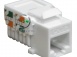 Розеточный модуль NTSS PREMIUM Keystone UTP 1xRJ45 CAT6 белый. превью 4