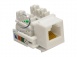 Розеточный модуль NTSS PREMIUM Keystone UTP 1xRJ12 CAT5e белый. превью 1