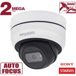 IP камера SV2010DBZ
