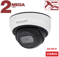 IP камера SV2012DBS