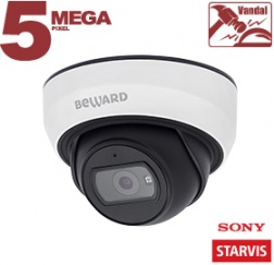 IP камера SV3212DBS