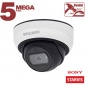 IP камера SV3212DBS